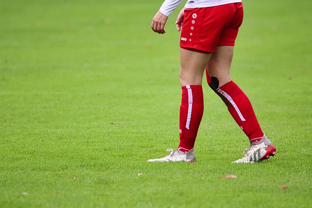 从德国国家 从德国国家