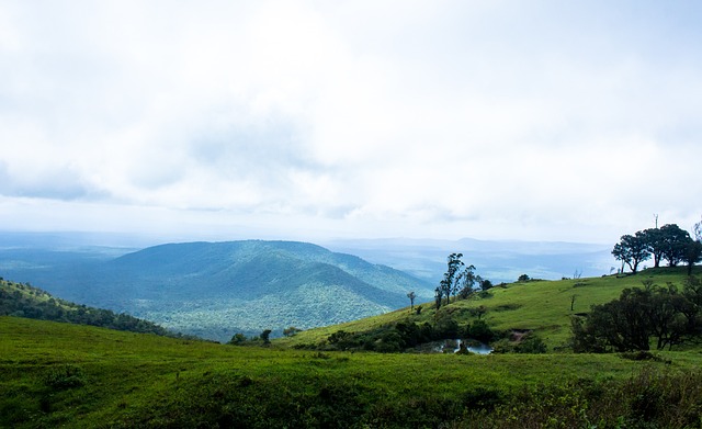 心理状态 心理状态