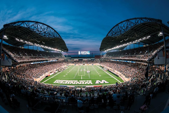 迎来蓬勃发 迎来蓬勃发