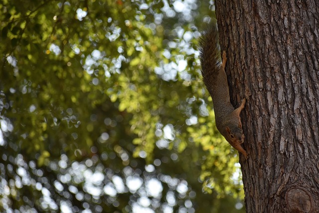 在这个赛季 在这个赛季