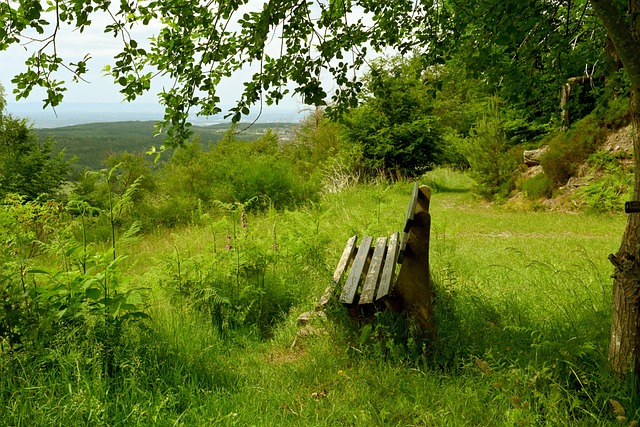 冠征程中信 冠征程中信