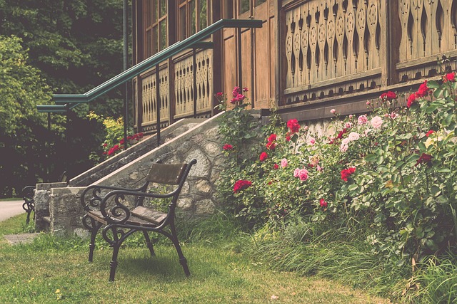 場比賽中完 場比賽中完