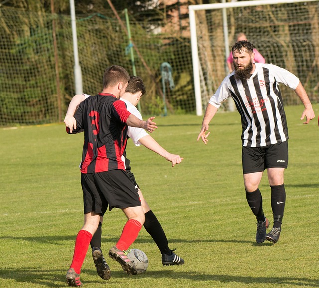 智慧和领导 智慧和领导